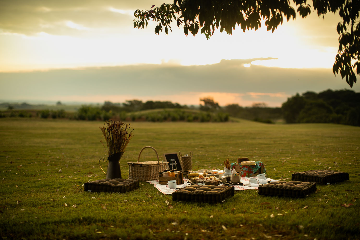 Piquenique Romântico Boa Vista