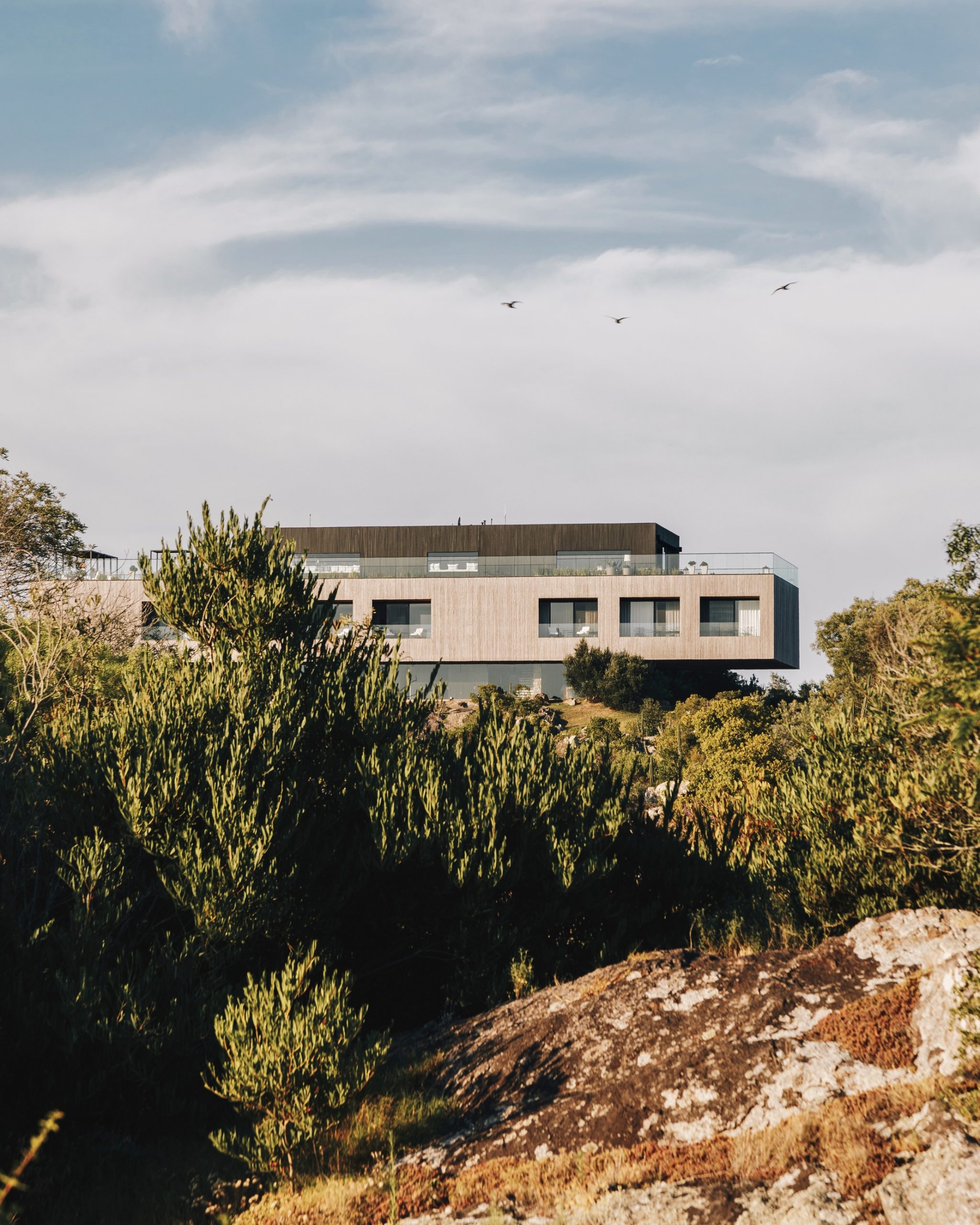 Fasano Punta del Este