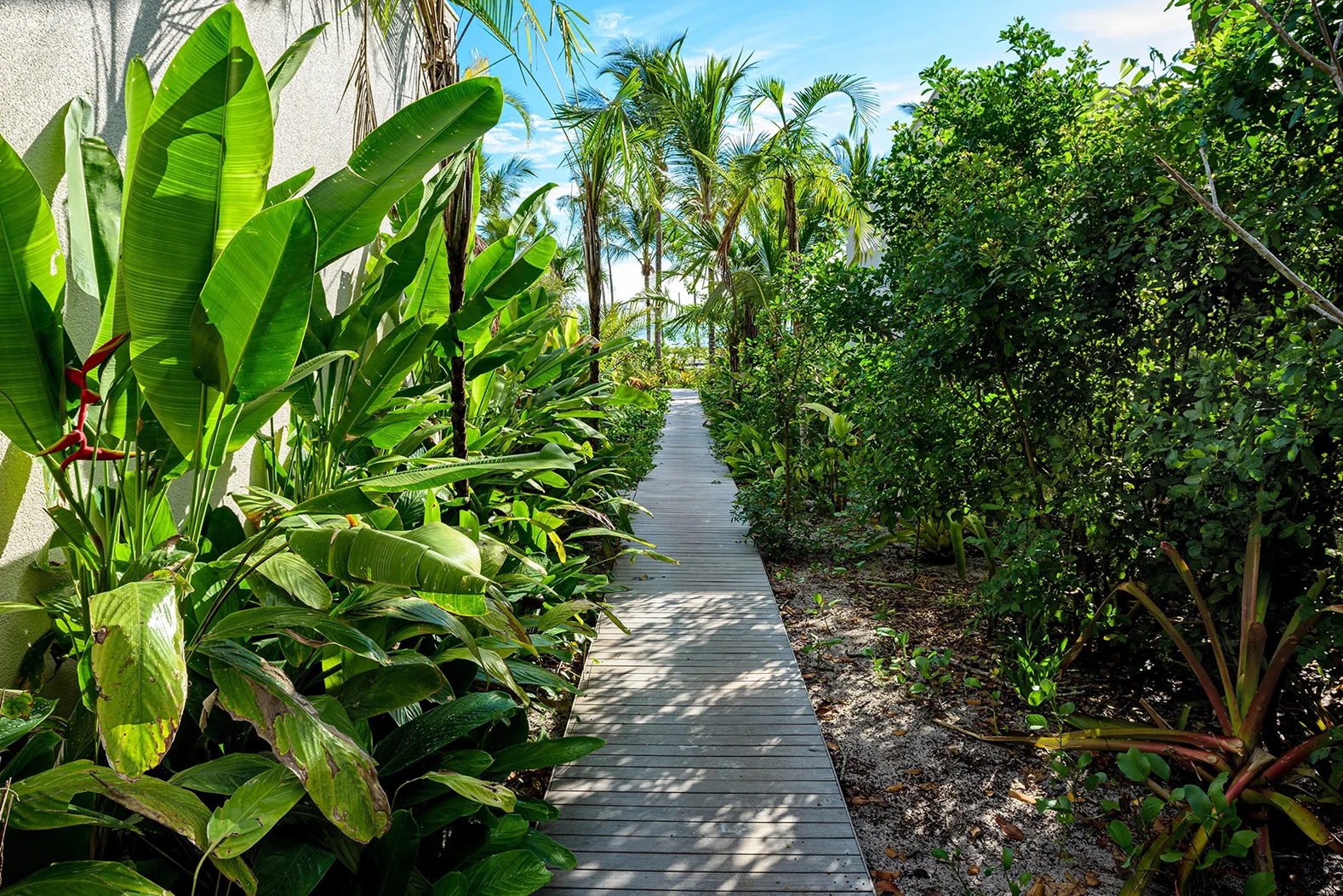 Imagem Fasano Trancoso