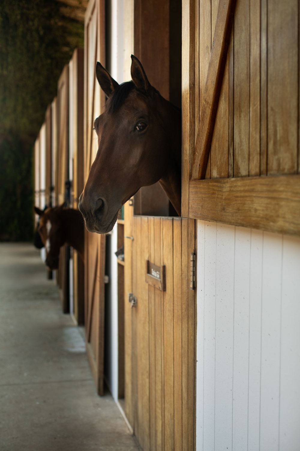 Fasano Boa Vista – Equestre