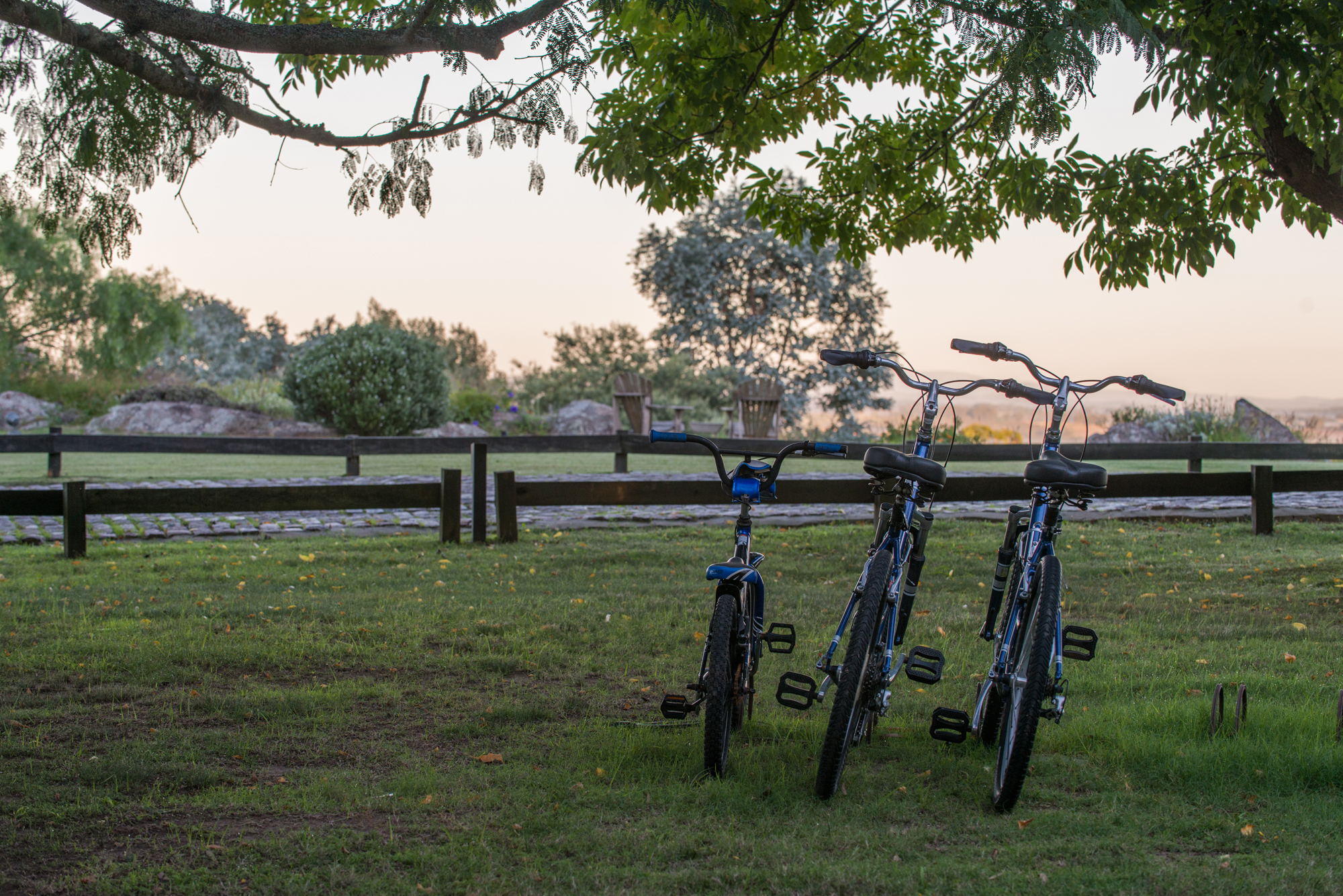 Passeio de Bicicleta & Almoço no Pátio Las Piedras