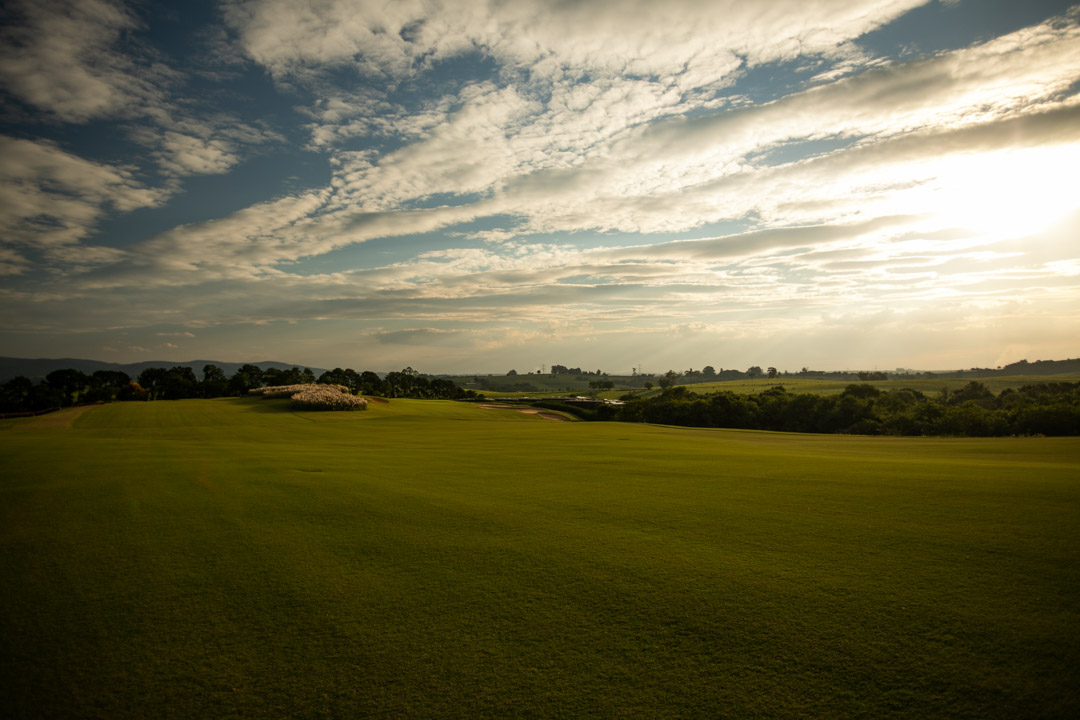 Brasil Livre de Gaiolas