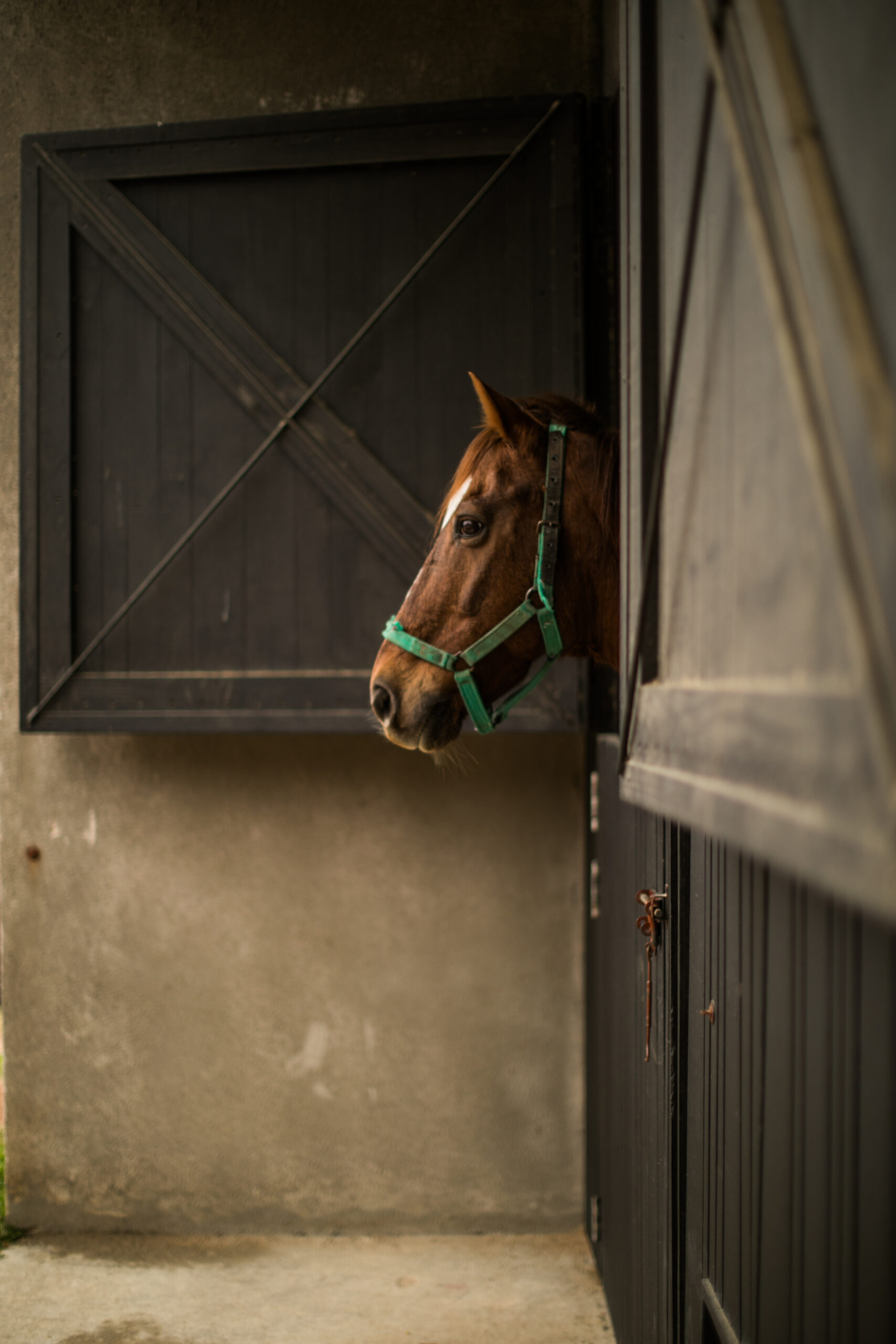 Cavalgada & Almoço no Centro Equestre