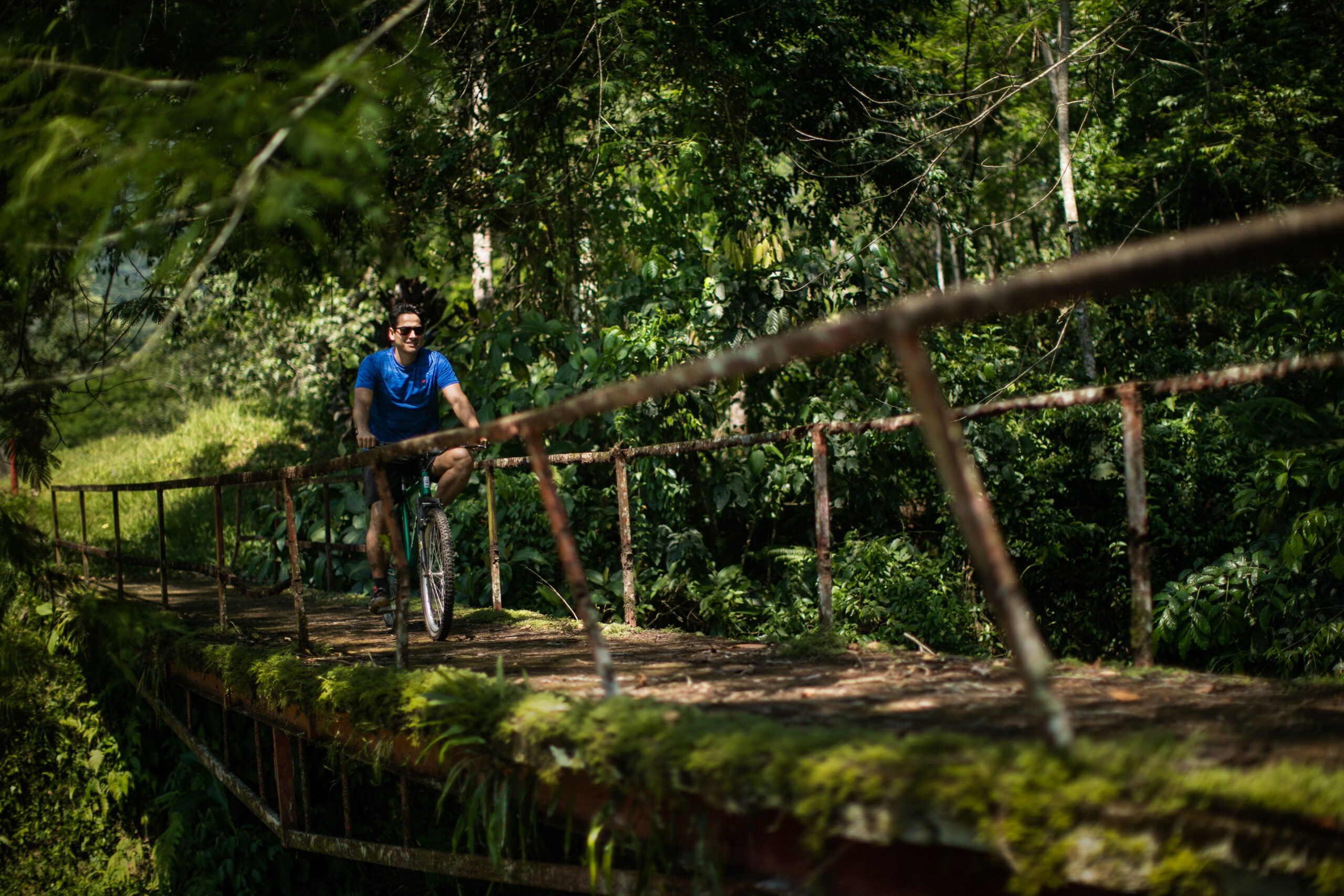 Passeio de Bicicleta