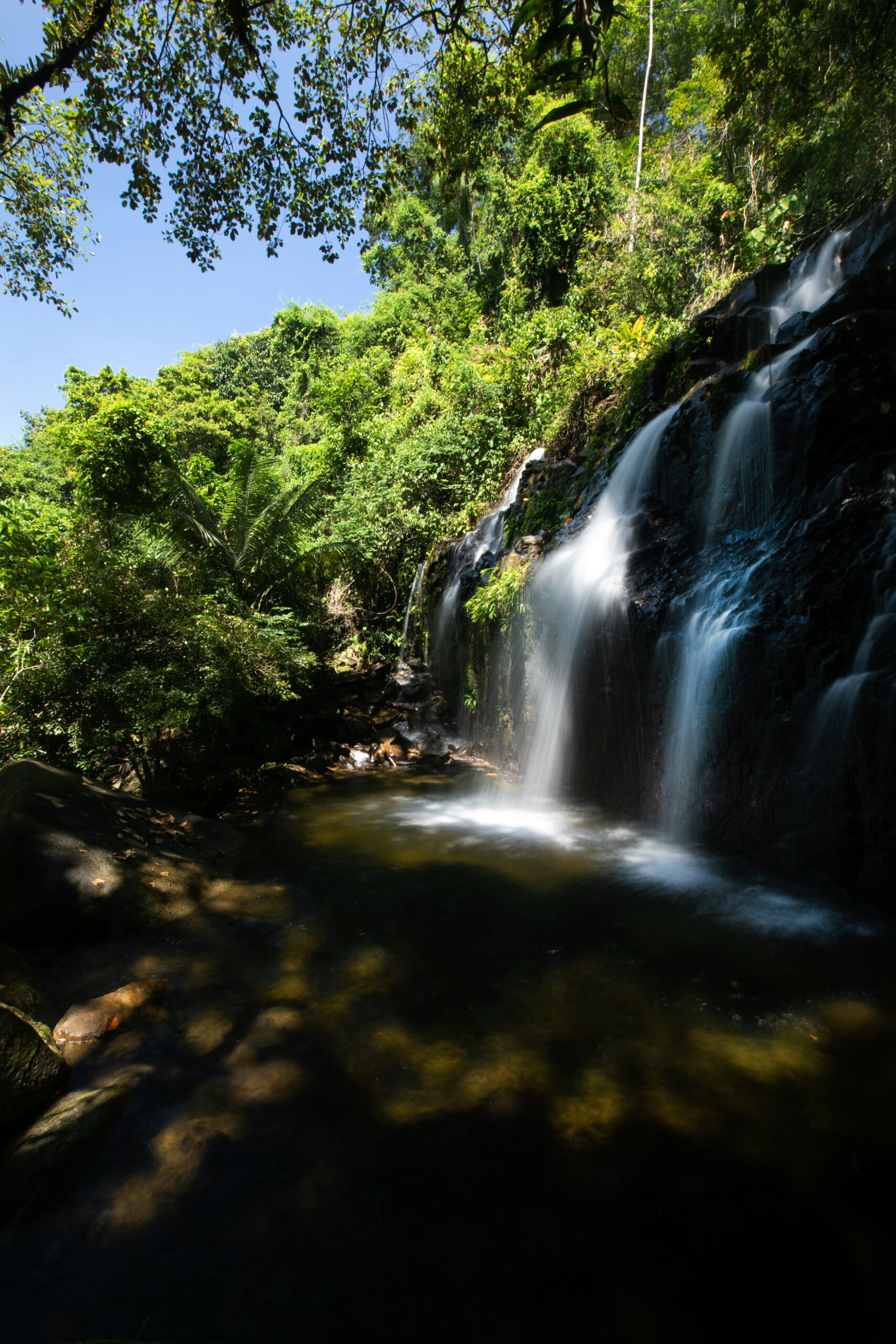 Sabores da Mata Atlântica