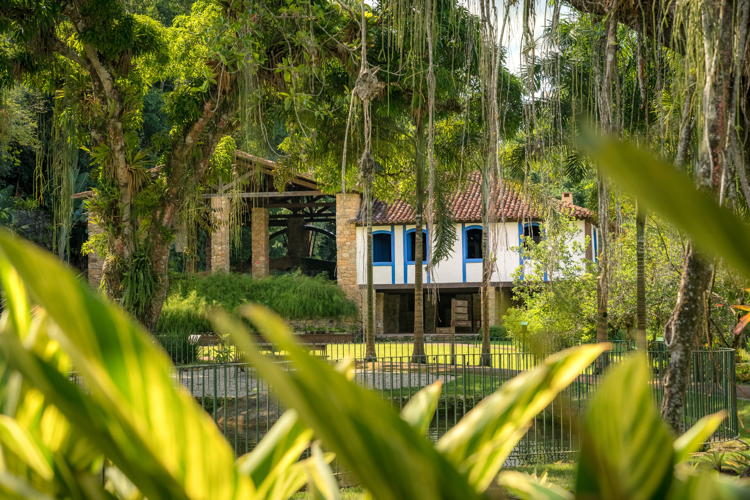 Sabores da Mata Atlântica