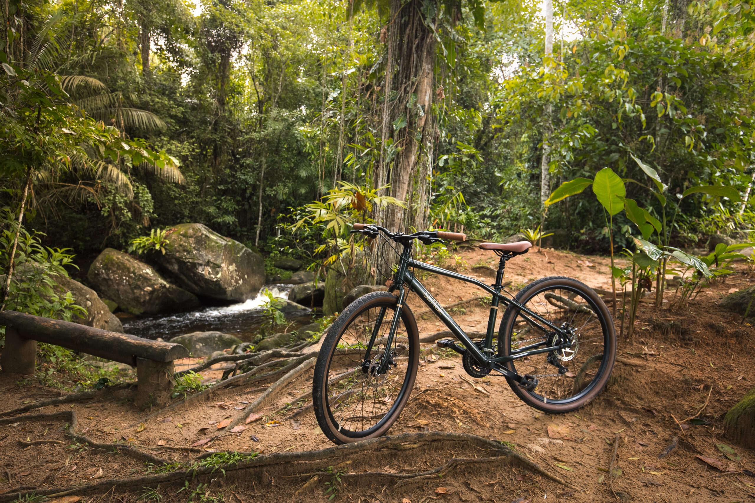 Passeio de Bicicleta