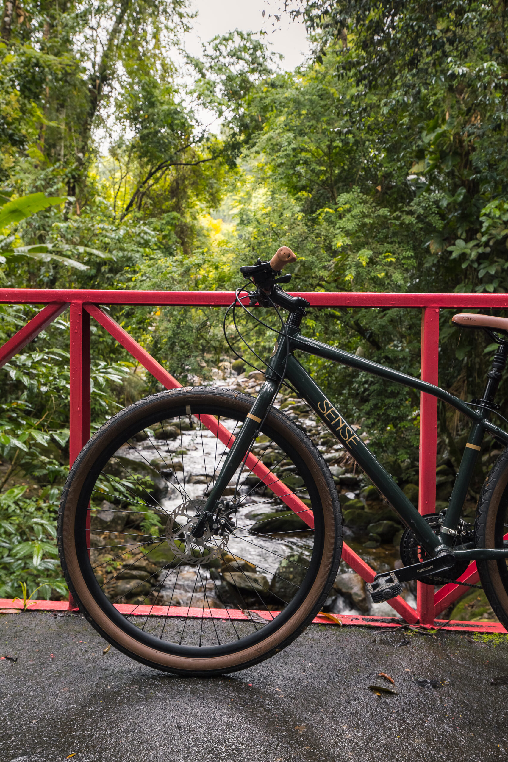 Passeio de Bicicleta