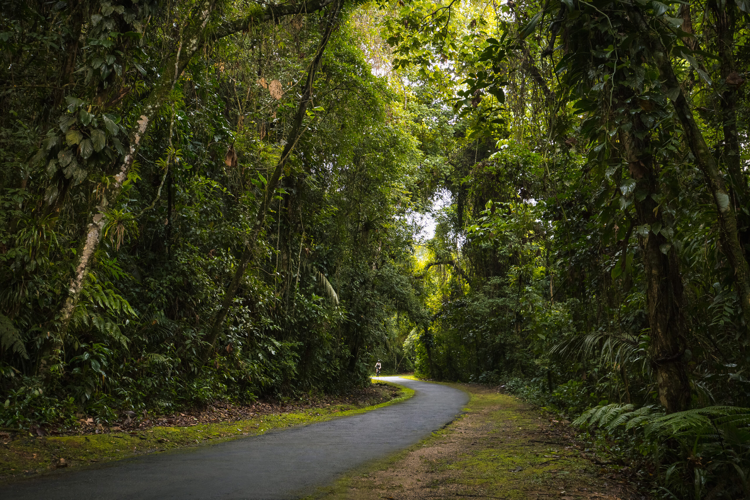 Passeio de Bicicleta