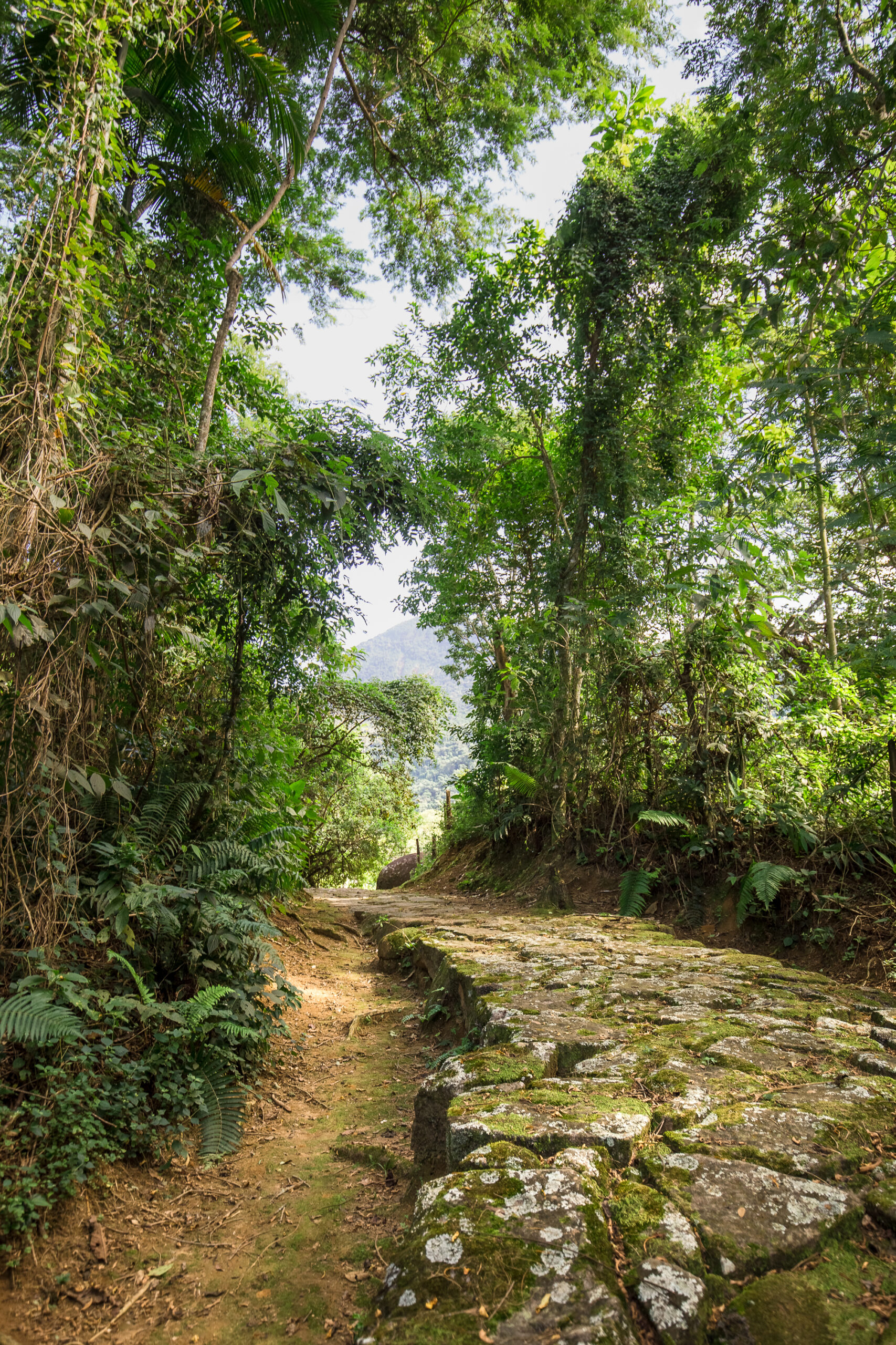 Sabores da Mata Atlântica