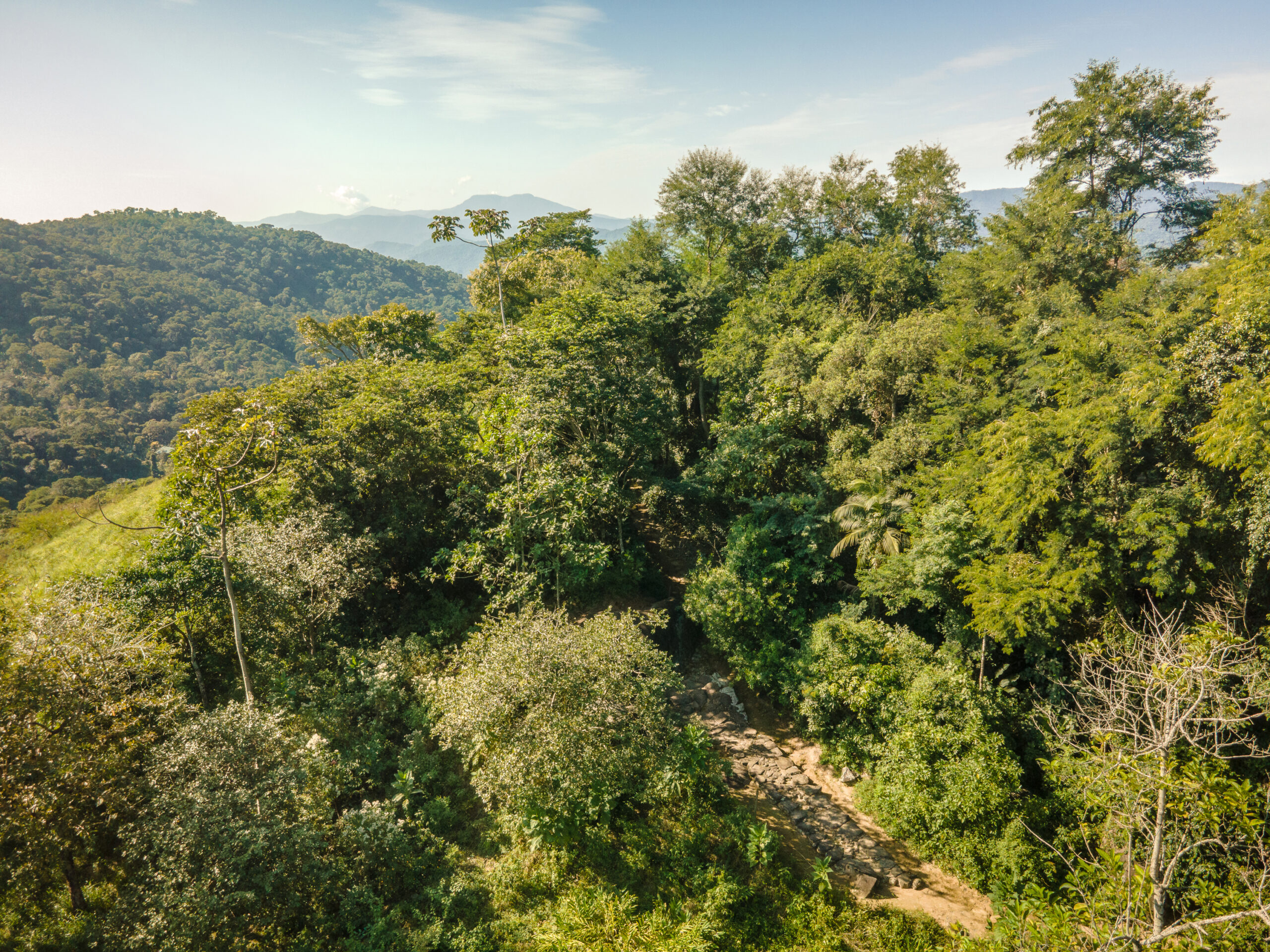 Caminhada Mata Atlântica
