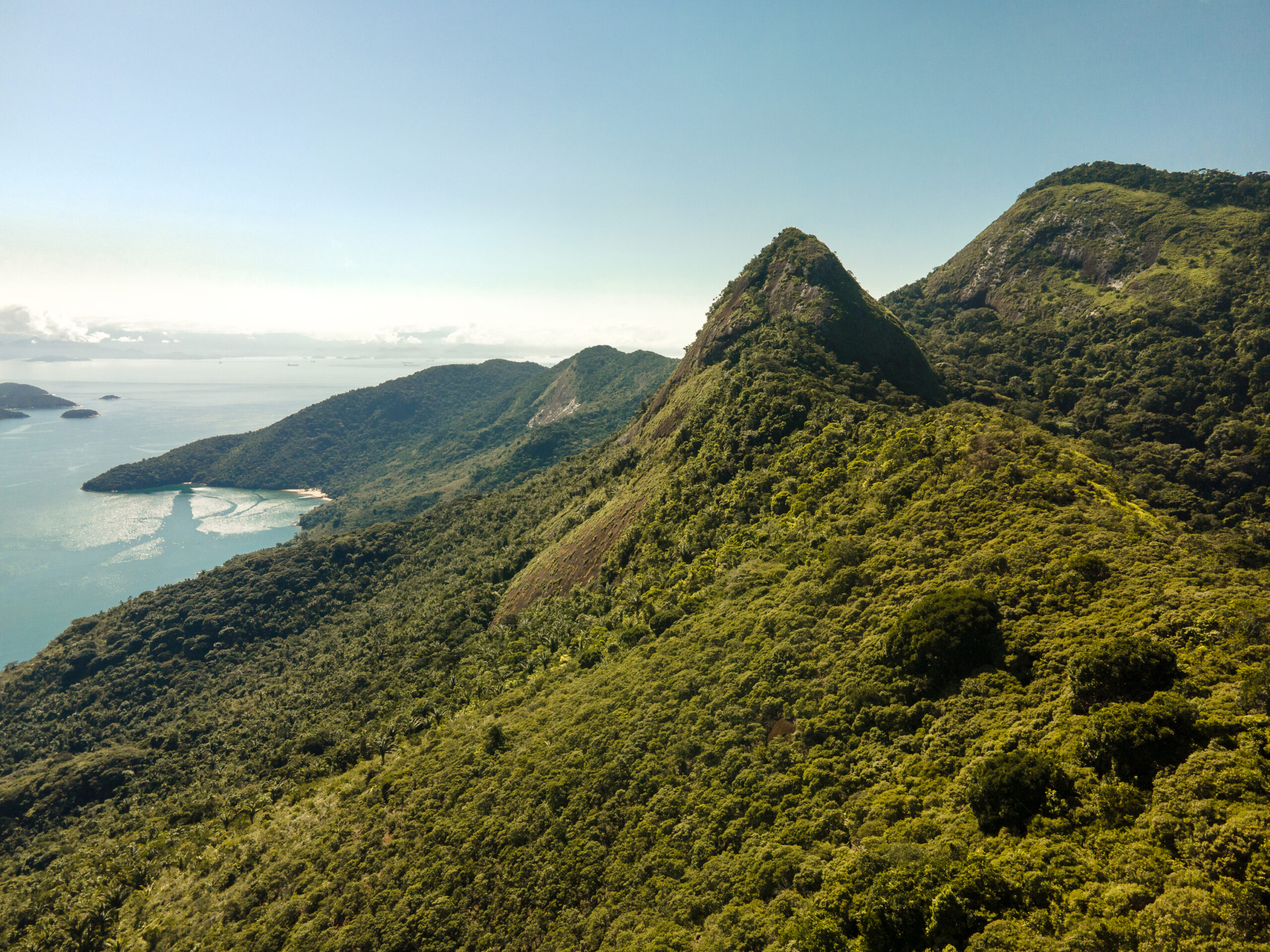 Trilha Pico do Papagaio