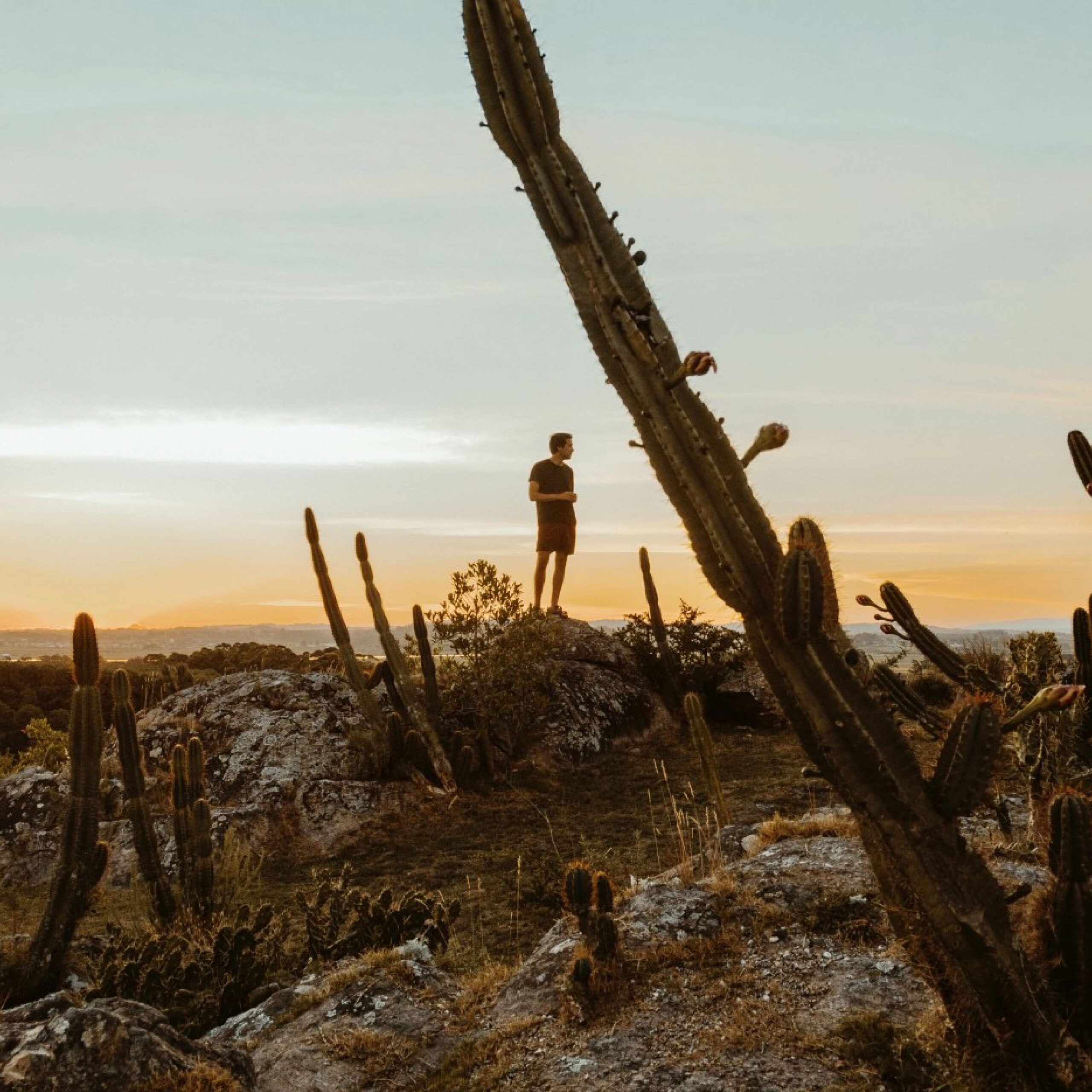 Caminhada & Piquenique Saudável