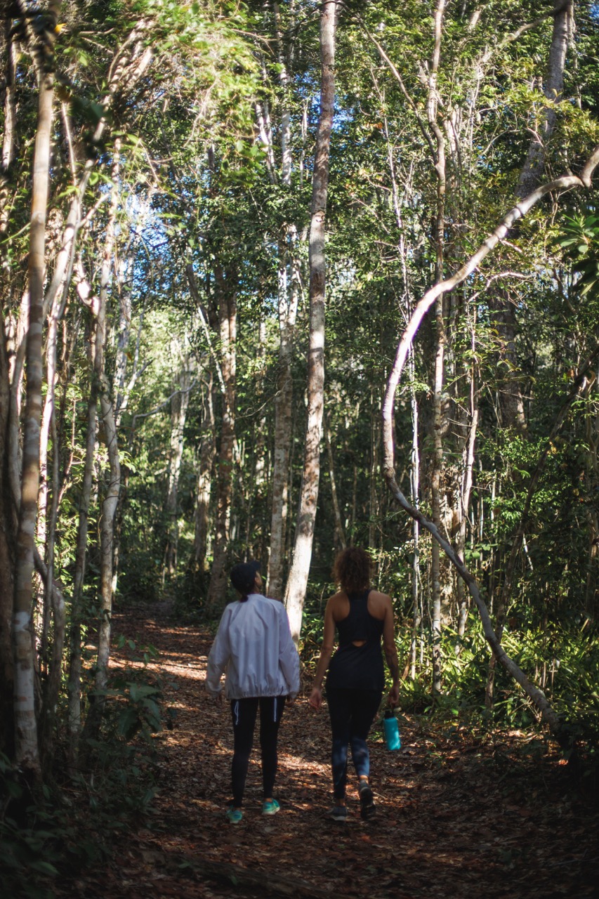 Caminhada Ecológica