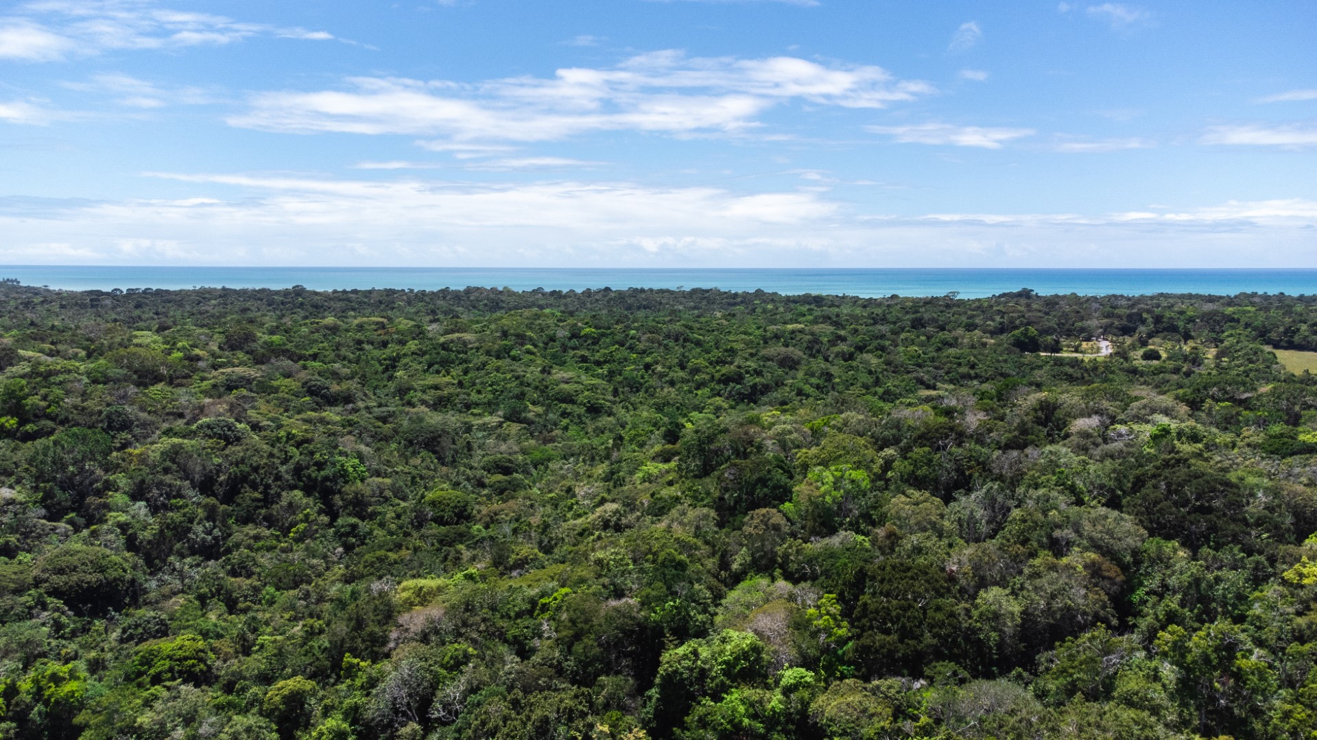 Caminhada Ecológica
