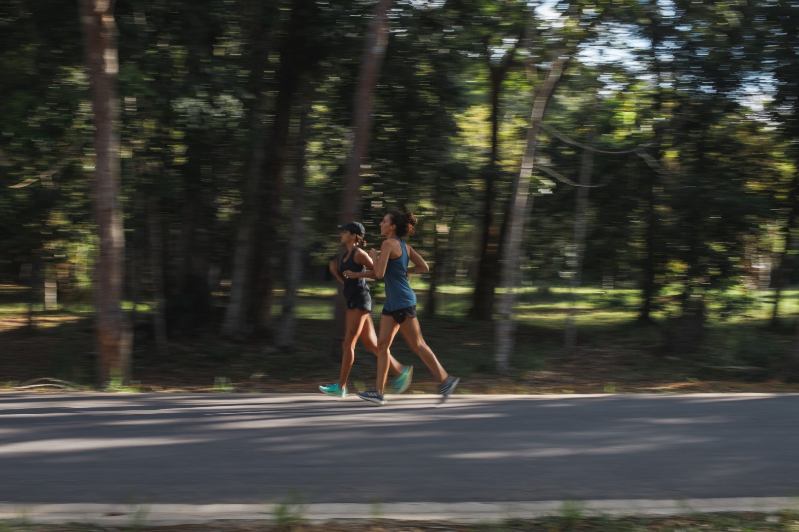 Caminhada Ecológica