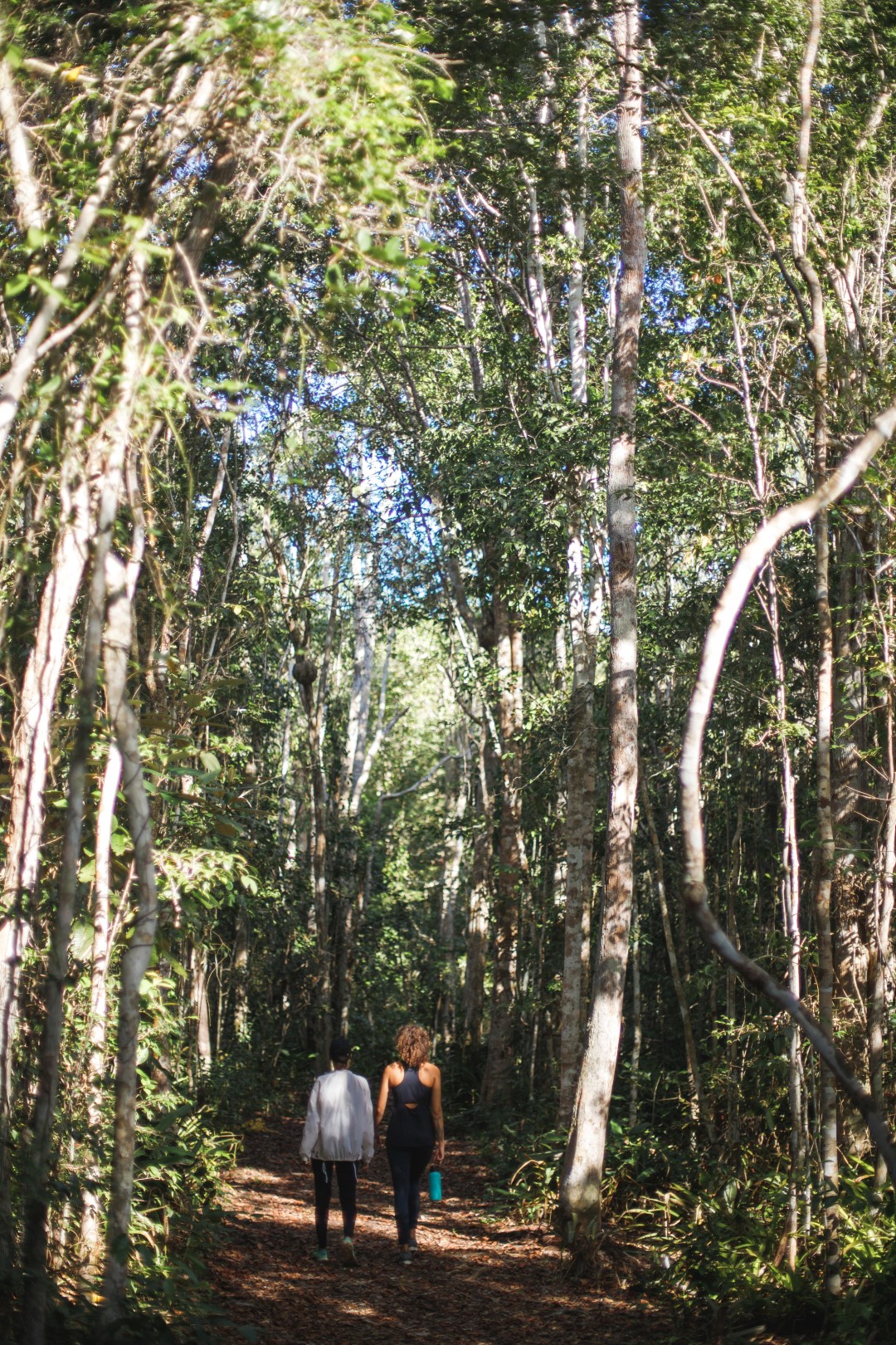 Caminhada Ecológica