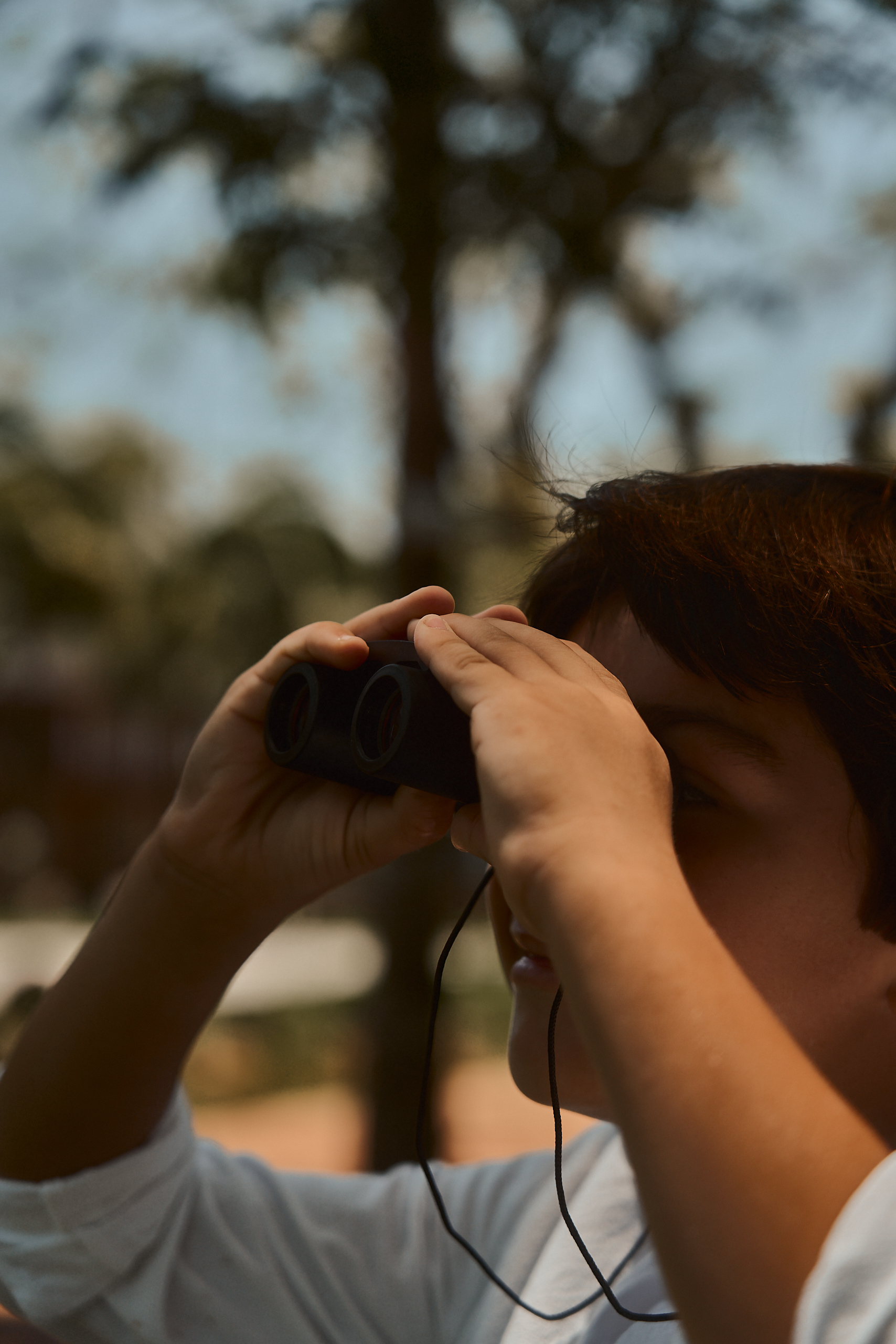 Observação de Aves