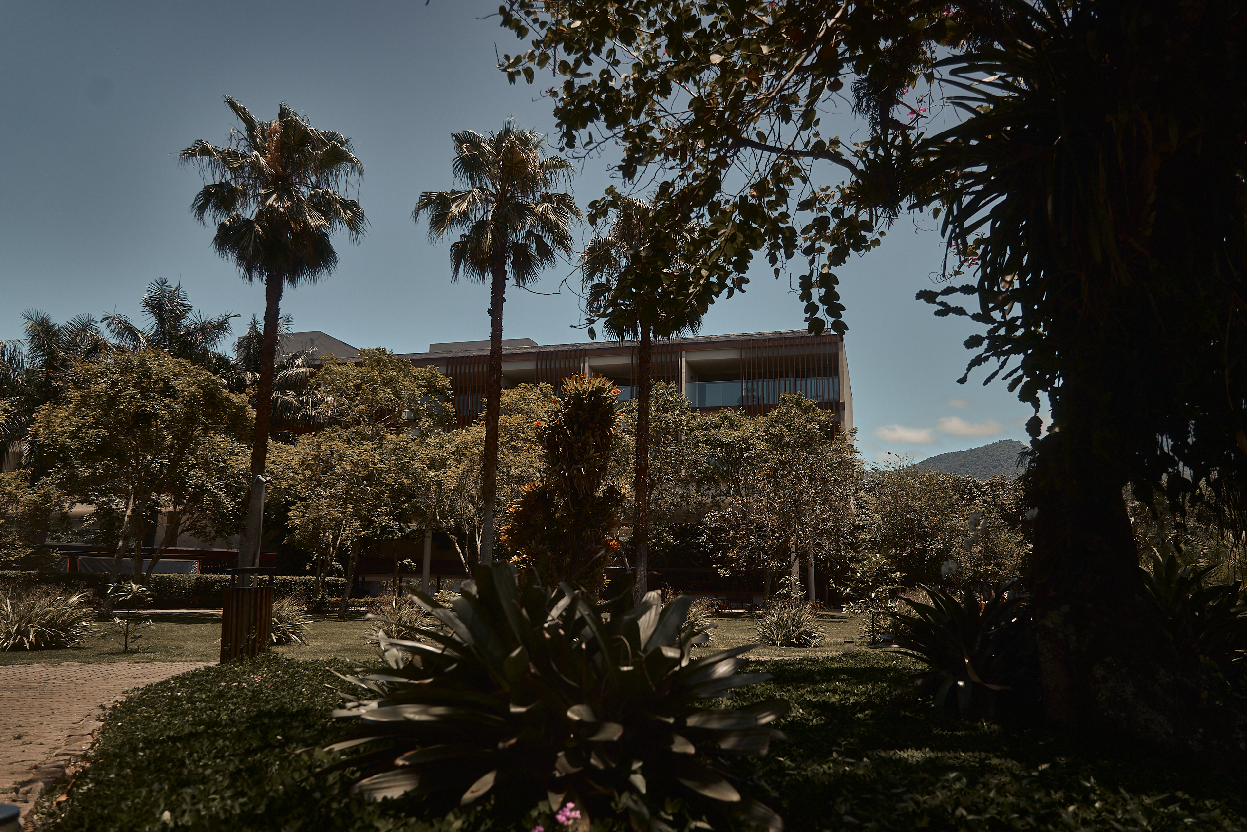 Observação de Aves