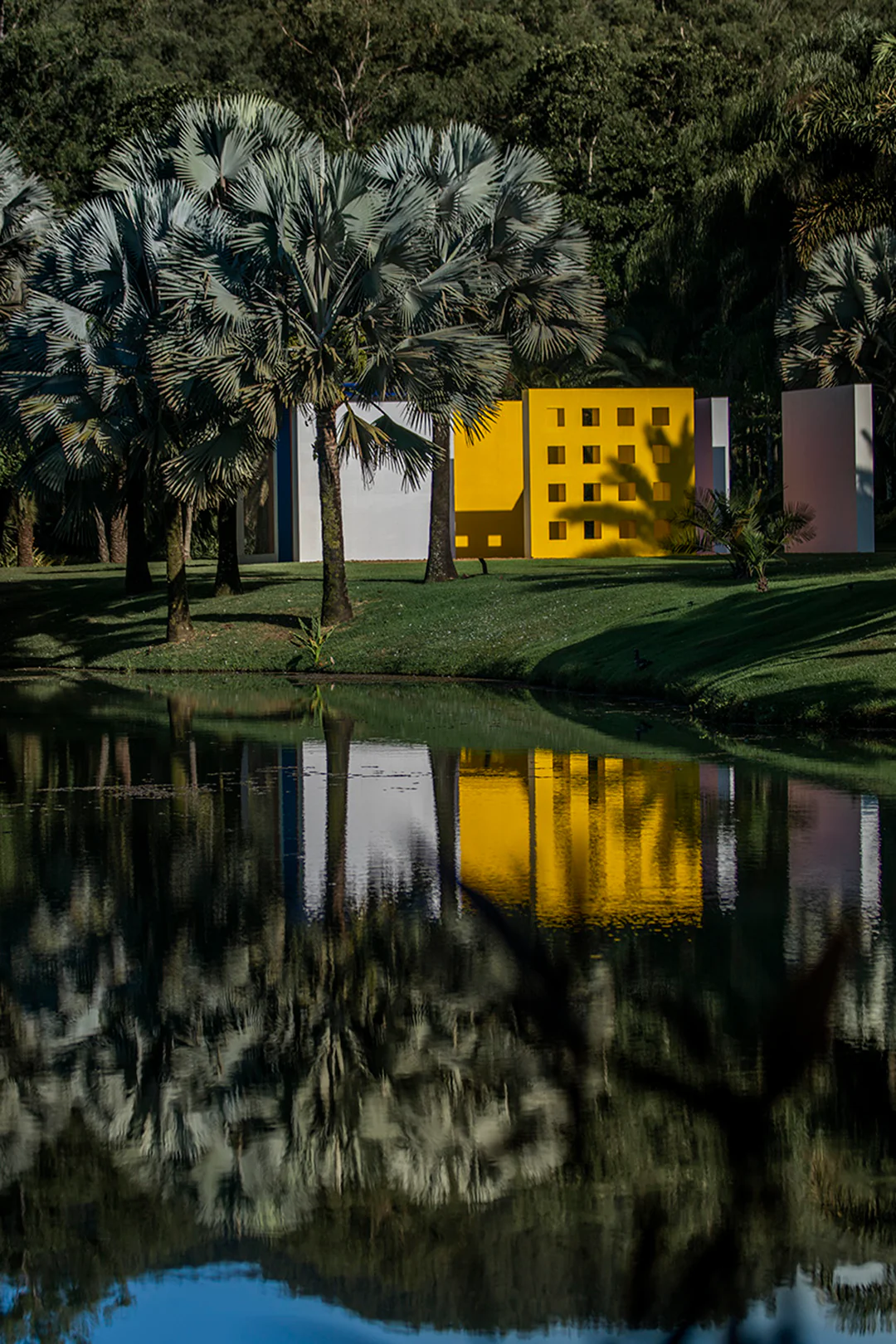 Instituto Inhotim grounds, photographed by João Kehl