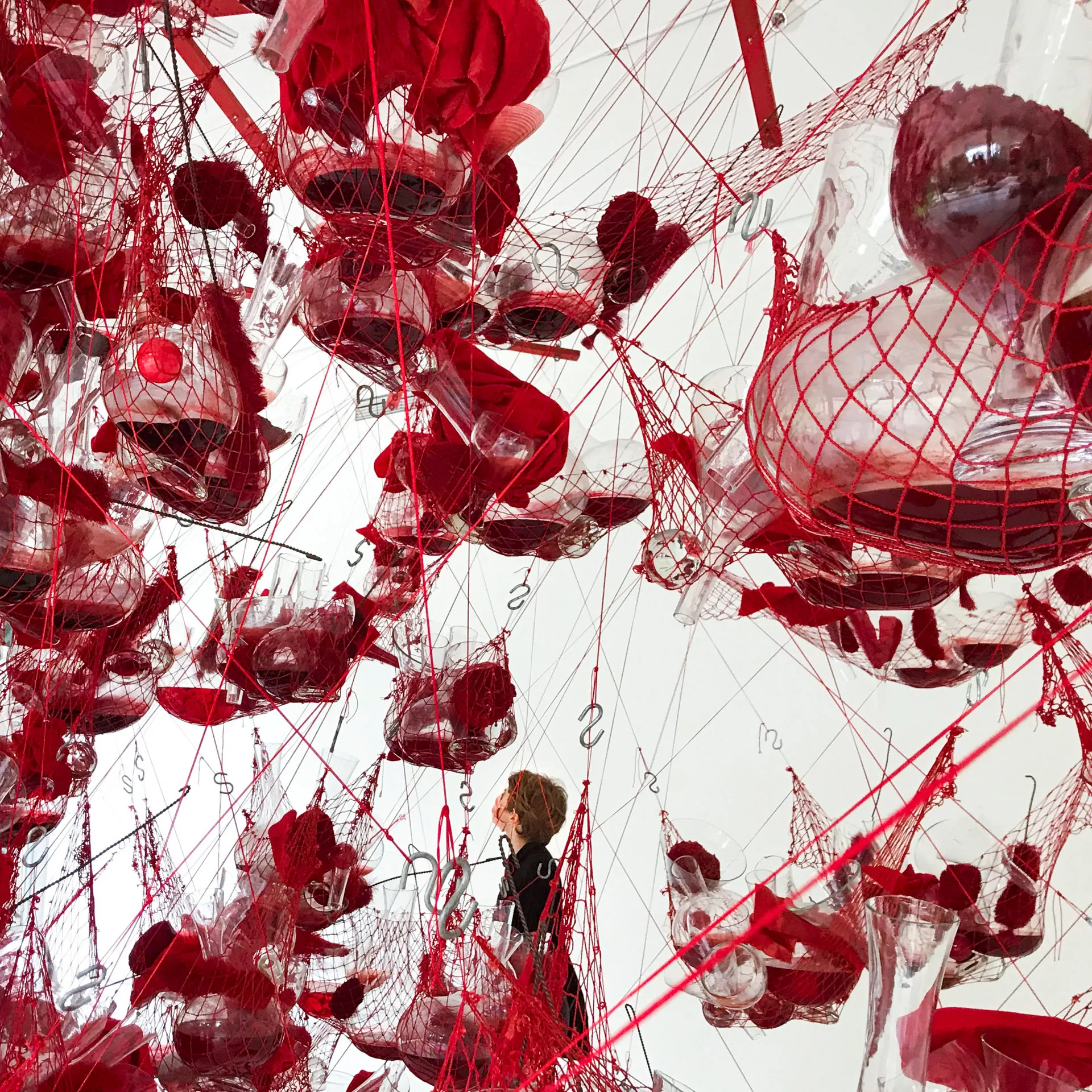 Tunga, True Rouge installation at Instituto Inhotim