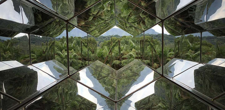Roteiro Inhotim: paisagem da Mata Atlântica no instituto