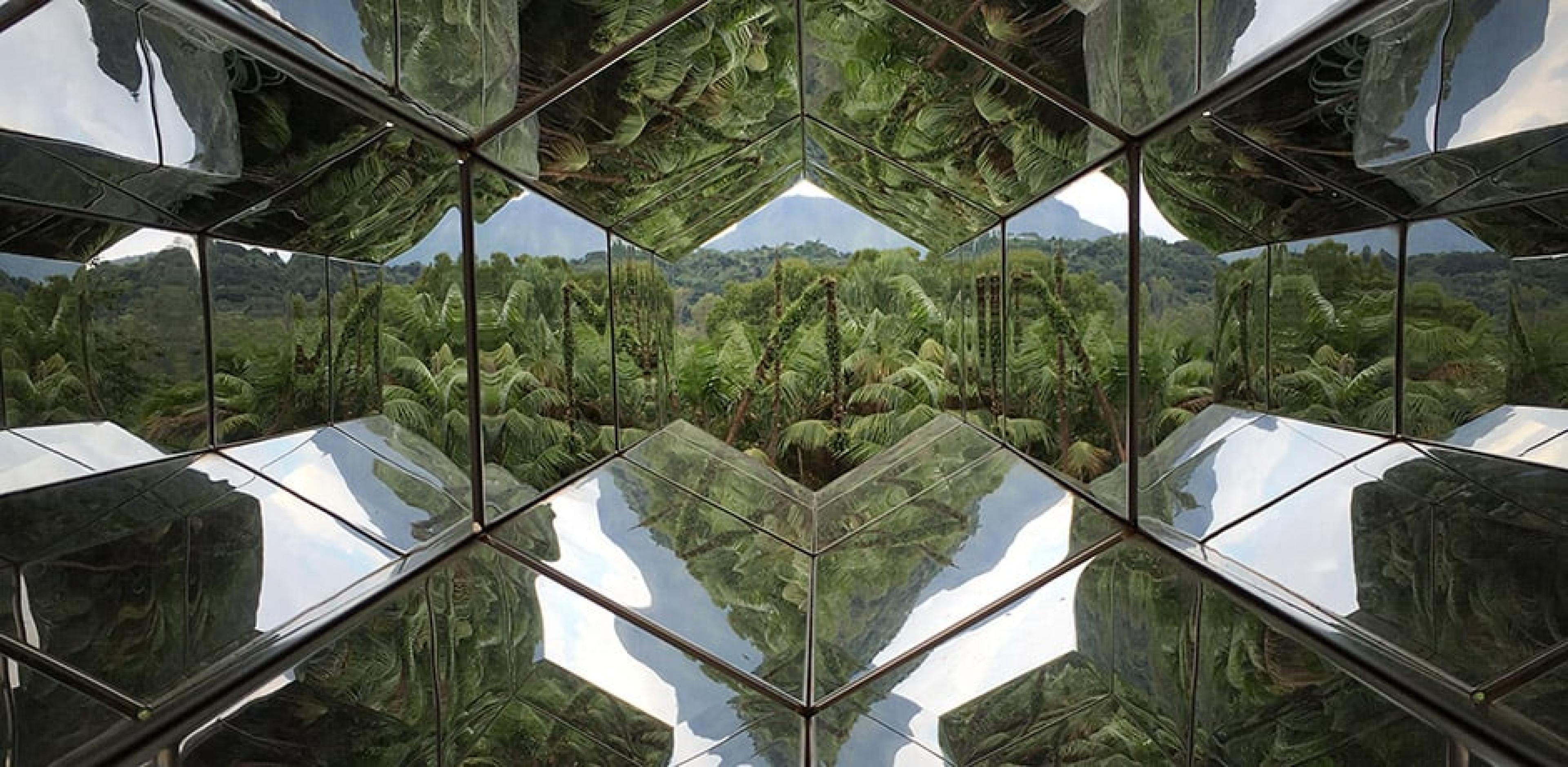 Inhotim travel guide: Atlantic Forest landscape at the institute
