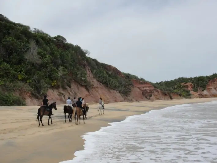 Cavalgada pela Mata Atlântica perto de Trancoso
